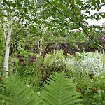 Yew Tree Feriehus *
