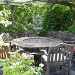 Yew Tree Penrith