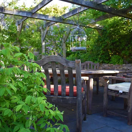 Yew Tree *